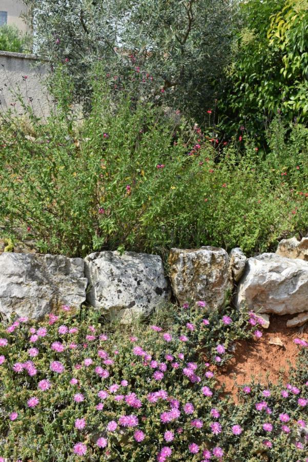 וינקורן Villa Vinki מראה חיצוני תמונה